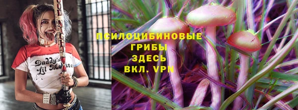 mix Касимов