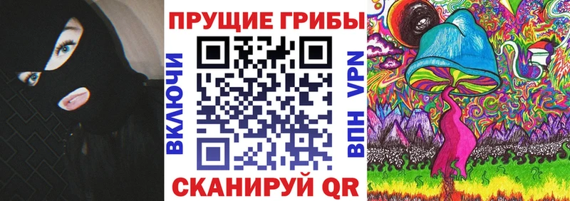 Псилоцибиновые грибы Cubensis  Купить где  Калач 