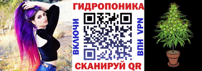Конопля LSD WEED  Купить закладки  Калач 